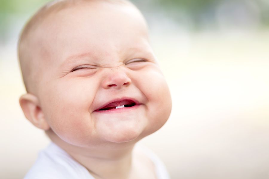 surrogacy services